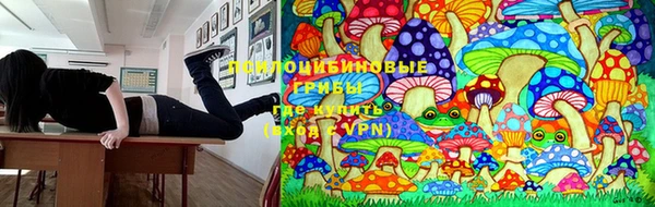 амфетамин Новозыбков