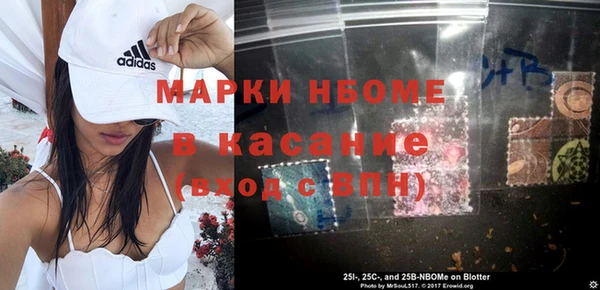 дживик Няндома