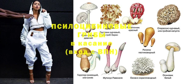 прущая мука Новодвинск
