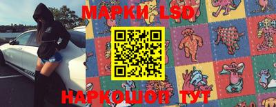 амф Гатчина