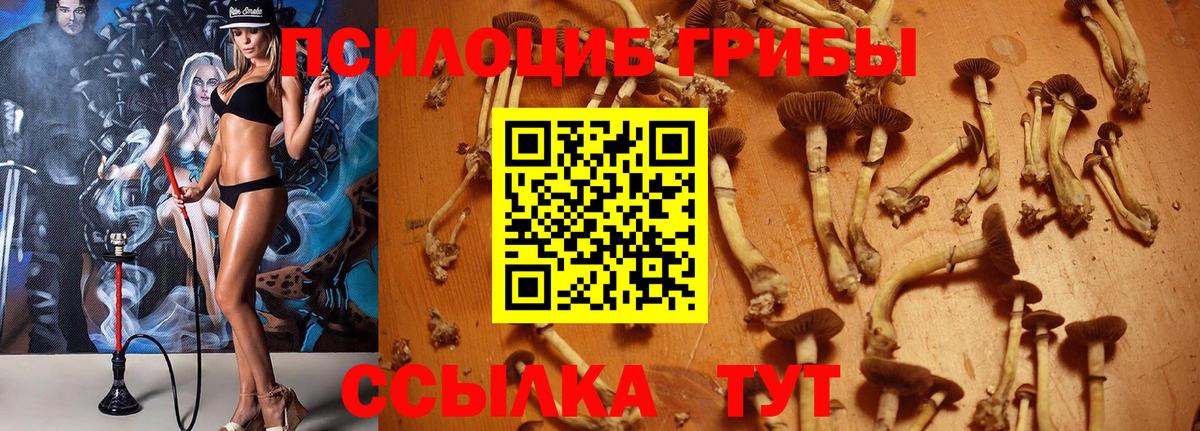 Псилоцибиновые грибы GOLDEN TEACHER  Вход с VPN  Каменка  Галлюциногенные грибы ЛСД 