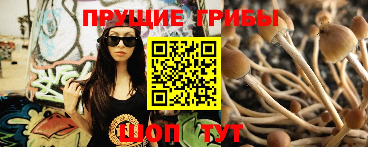 Экстази Каменка