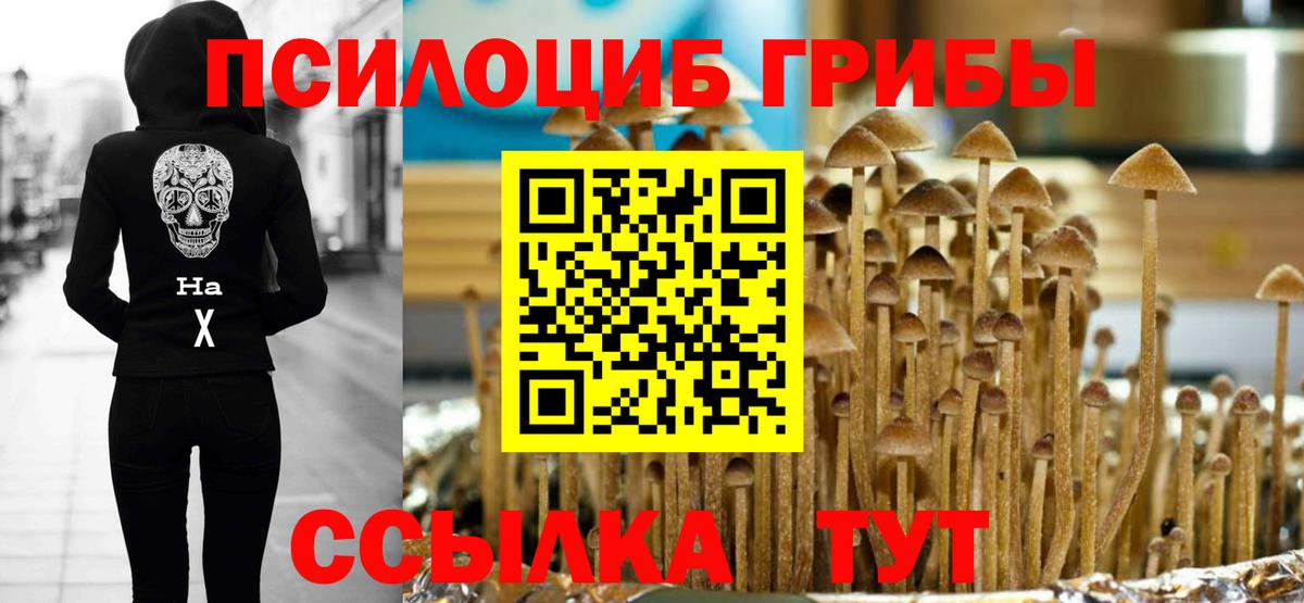 Галлюциногенные грибы Magic Shrooms Каменка