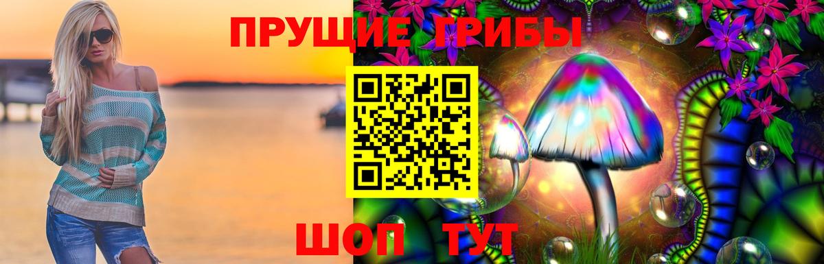 Галлюциногенные грибы прущие грибы  закладки  Каменка 