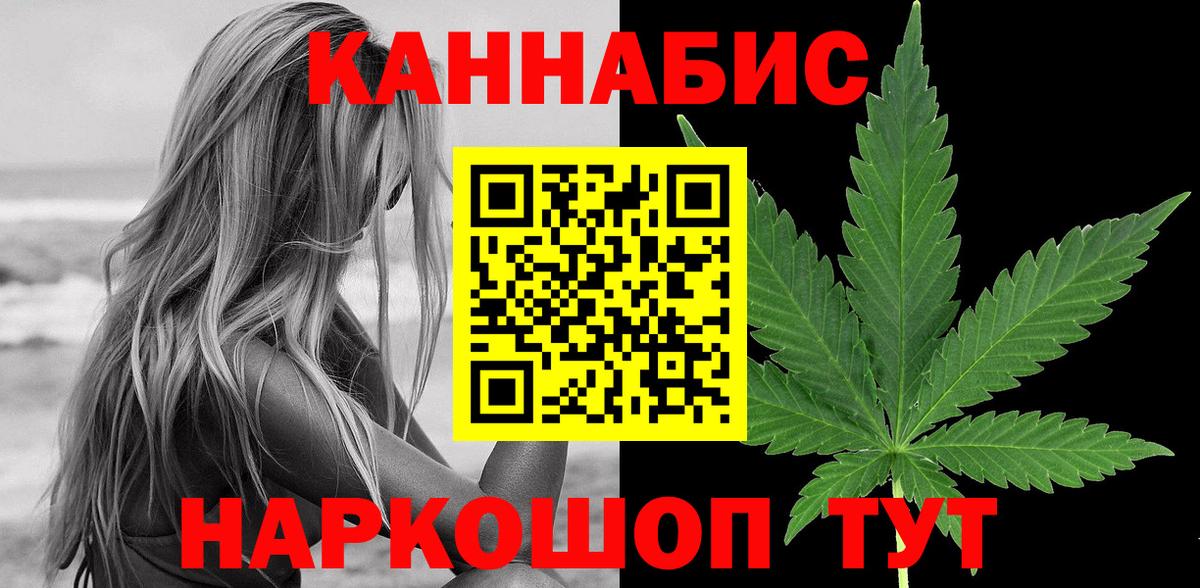 Каннабис сатива  Конопля Bruce Banner  Бошки Шишки план  Каменка 